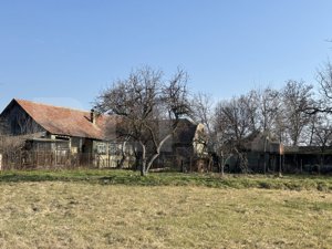 Casa pitoreasca, 4 camere, 180 mp, zona Beregsau Mare  - imagine 5