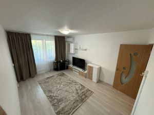 apartament 2 camere teiul doamnei