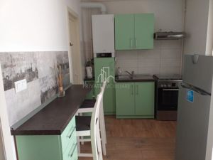 Apartament 1 Cameră Et.1 Bloc Nou De Vanzare, Zona Centrala/UMF - imagine 4