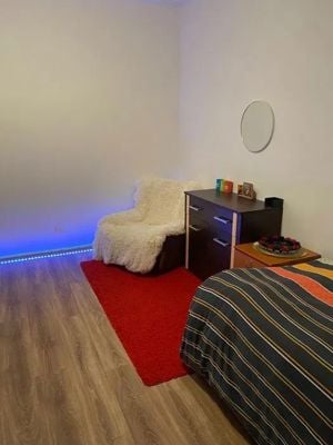 Apartament cu o camera la casa, spre inchiriere - imagine 8