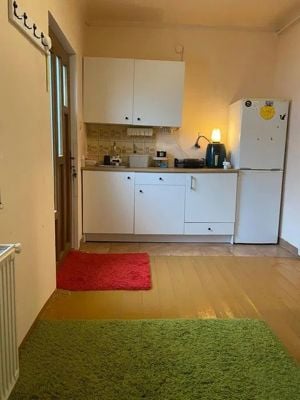 Apartament cu o camera la casa, spre inchiriere - imagine 2