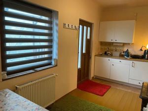 Apartament cu o camera la casa, spre inchiriere