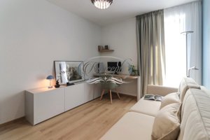 Apartament deosebit pe strada Constantin Brancusi - imagine 6