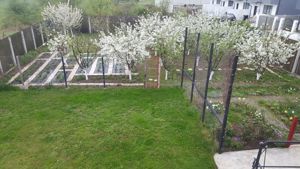 Particular vand casa individuala P+1+M in Bragadiru Independentei 9 camere - imagine 2