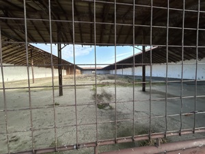 Vand teren intravilan,zona industriala,st.16,8 ha. + 8 ha.agricol,in Sanicolau Mare, la DN6,la sosea - imagine 15