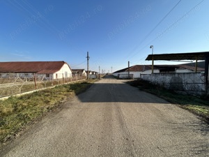 Vand teren intravilan,zona industriala,st.16,8 ha. + 8 ha.agricol,in Sanicolau Mare, la DN6,la sosea - imagine 10