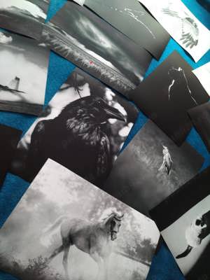 PRINTARE PROFESIONALA pentru tablouri personalizate - imagine 4