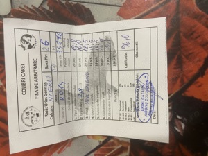 Mascul urias german negru  - imagine 2