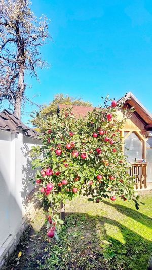 Vila Deosebita Brasov - imagine 8