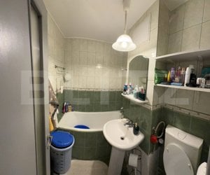 Apartament 2 camere frumos amenajat,  Zona Tei - Parcul Plumbuita - imagine 9