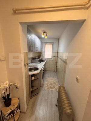 Apartament 2 camere frumos amenajat,  Zona Tei - Parcul Plumbuita - imagine 5