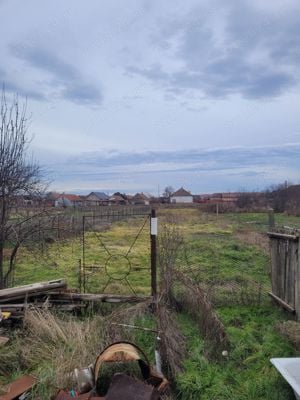 vand casa în comuna cenad la strada principala - imagine 6