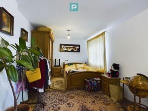 Casa modesta, 2500 mp teren, Domnesti - imagine 3