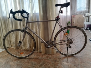 Vind bicicletă cursieră