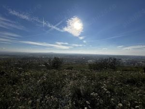 Teren de vânzare - 1318 mp, panorama superbă, Oradea - imagine 6