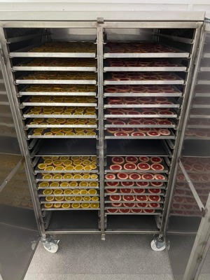 Uscator Legume Fructe HESTYA DRY15 ELECTRIC echipamt cu 42 tavi din INOX