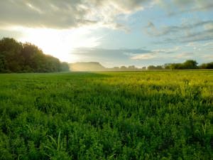 Teren 24000 mp intravilan extravilan Hăbud Prahova - imagine 2