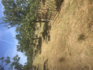 Palinca -tuica de pruna  pentru cunoscatori - imagine 3