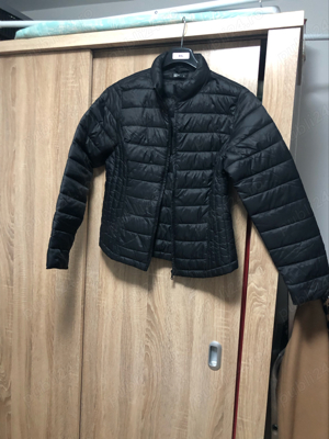 Vind geci iarna-toamna