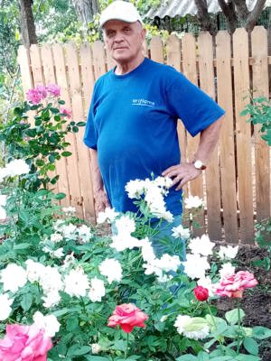 Ajutor menaj,part-time. - imagine 5