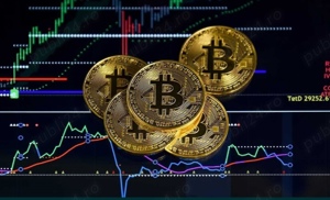 Consultant dezvoltare personala crypto