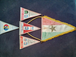 fanioane fotbal anul 1980