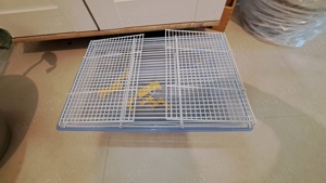 Cusa pentru hamster  soricel