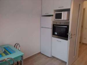 PF ofer spre inchiriere apartament 2 camere la vila Parcul Sub Arini - imagine 7