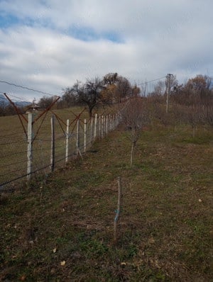 Vând teren, 7600 mp, Com. Salatrucel, Jud. Valcea - imagine 4