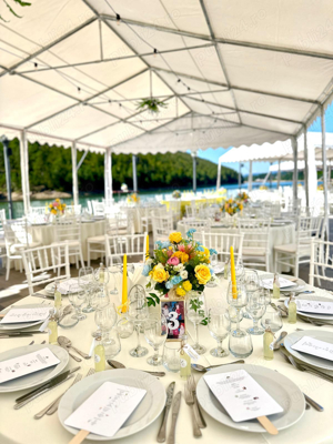 Închiriez mese,scaune,vesela,pavilioane  - imagine 3