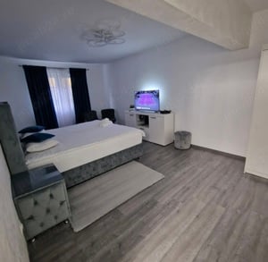 Apartament AlyMit Băile-Herculane regim hotelier - imagine 3