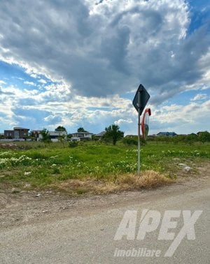 Teren intravilan 10000mp | Toate utilitatile | Zona Domnesti - imagine 5