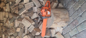 Tai lemne cu drujba în județul Timiș  - imagine 2