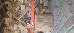 Tai lemne cu drujba în județul Timiș 