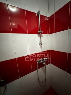 Apartament cu 2 camere in zona Balcescu, centrala termica - imagine 8