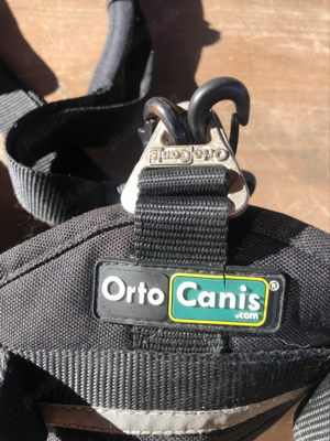 Ham pt. catei cu displazie de sold sau artrita - imagine 2