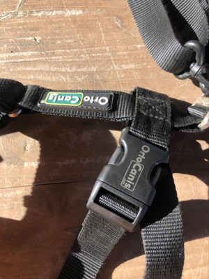 Ham pt. catei cu displazie de sold sau artrita - imagine 4