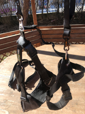 Ham pt. catei cu displazie de sold sau artrita - imagine 3