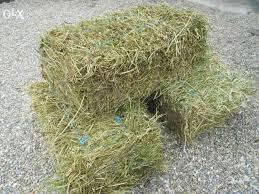 baloti de fan din prod 2025