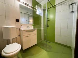 Garsoniere si Apartament in vila Busteni - imagine 10