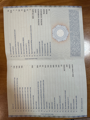 wv crafter 8+1 locuri - imagine 10