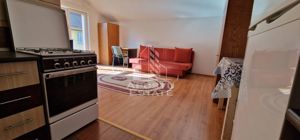 Apartament spatios cu o camera la etj 1 , Buziasului , centrala , AC - imagine 4