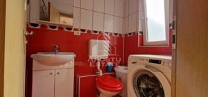 Apartament spatios cu o camera la etj 1 , Buziasului , centrala , AC - imagine 5