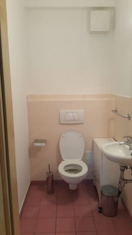 Inchiriez apartament 3 camere Chitila, 95 mp,terasa 200 mp, 750euro - imagine 9