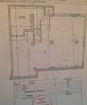 Spatiu multifunctional Bd. Fratii Golesti - imagine 9