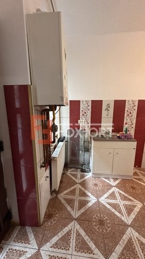 COMISION 0% Apartament cu 2 camere la parter cladire istorica in Timisoara - imagine 12