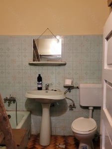 Casa de vanzare, 3 camere, toate utilitatile, sat Cuptoare, com. Cornea, Caras-Severin, 35.500 euro - imagine 7