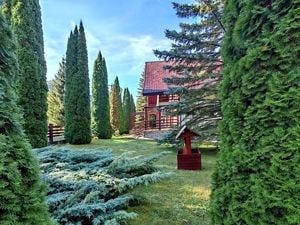 Vila Exclusivistă de Vânzare în Poiana Brașov - imagine 5