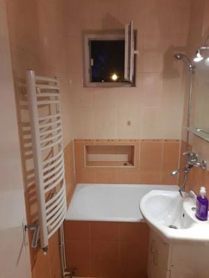 Dambu Pietros - Inchiriere apartament 2 camere - Strada Godeanu - imagine 7