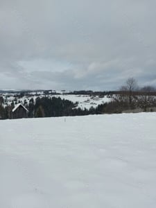 vand teren in Bucovina - imagine 4